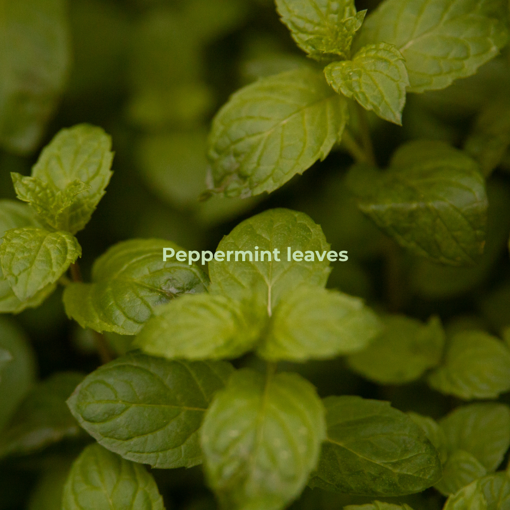 website portfolio(10)